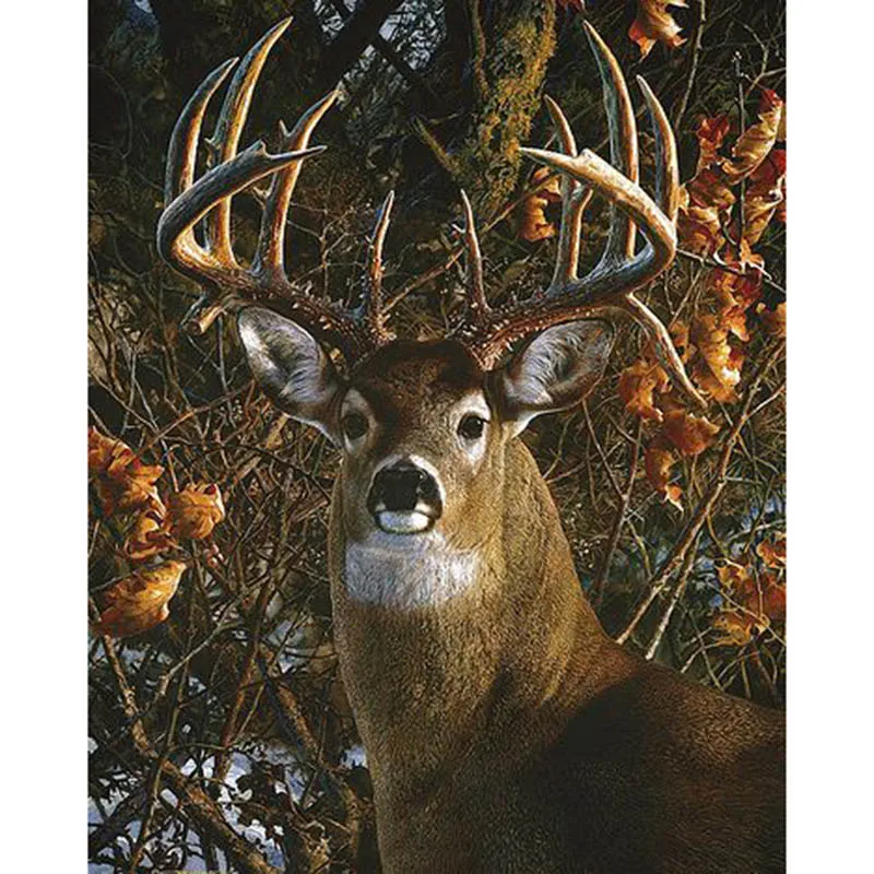 c3819366b92a87956b640b853fc912ad