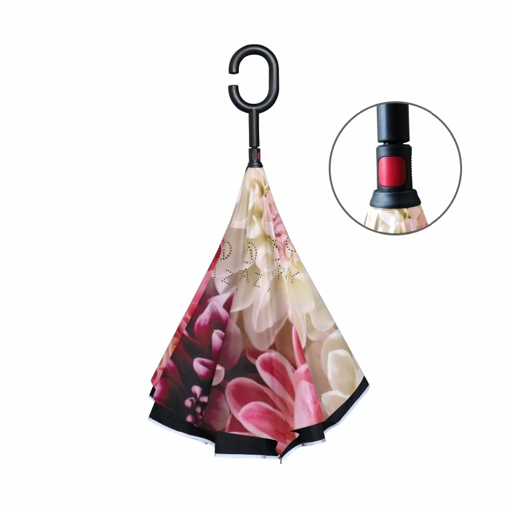 g1287286p183c217s313_2