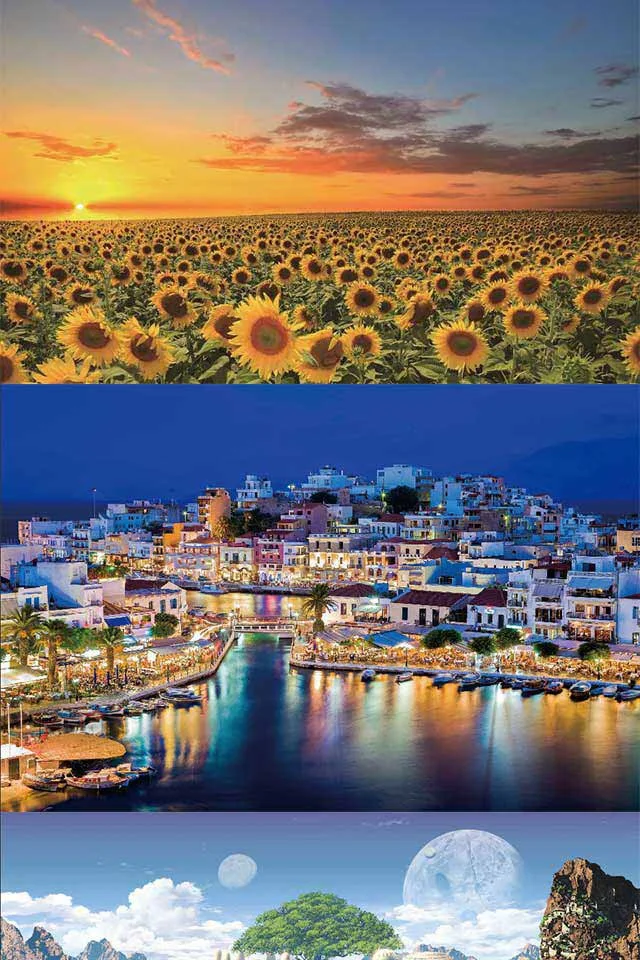 1000pcsIMG_1663