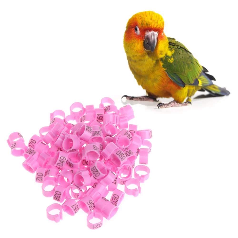 100Pcs 10mm Identify Ring Carrier Pigeon Training Supplies Leg Number