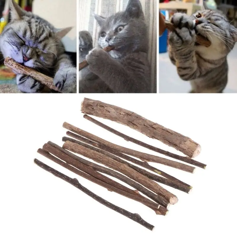 

5/10 Pcs Cat Cleaning Teeth Sticks Natural Matatabi Cat Snacks Stick Catnip Pet Molar Toothpaste Rod Kitten Clean Teeth Tool