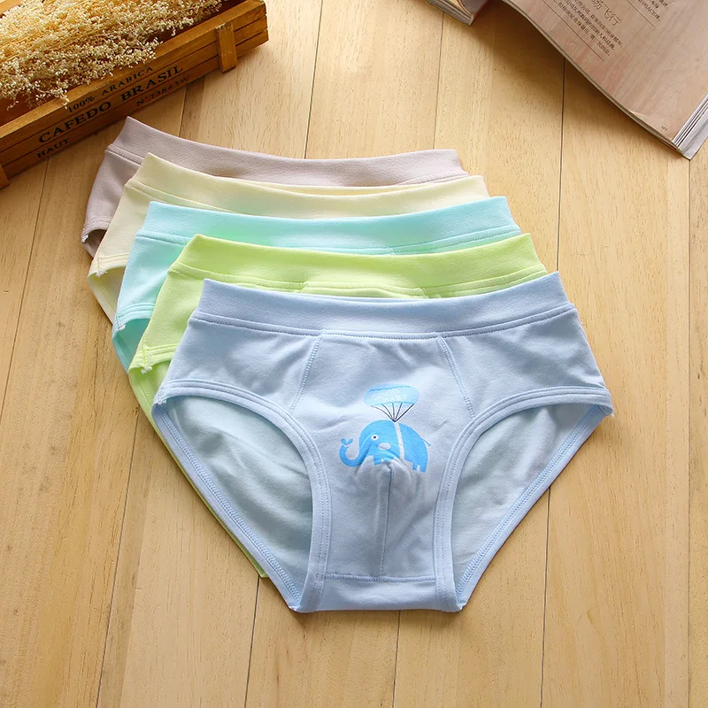 2018 new arrived free shipping high quality boys teenager cotton briefs