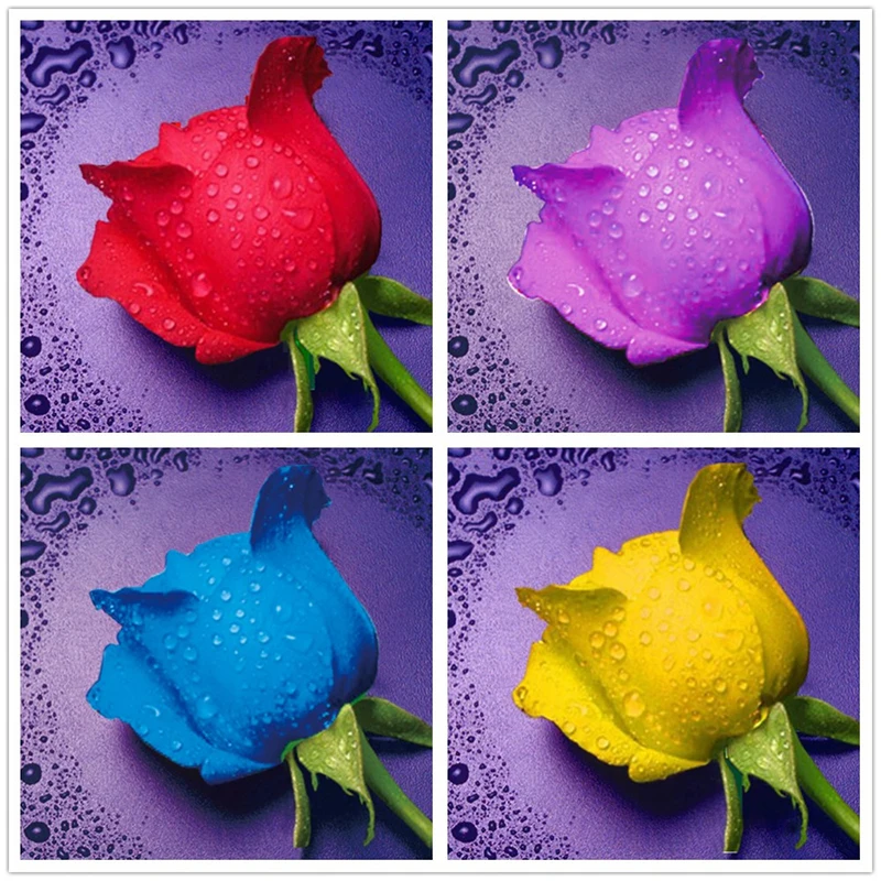 

5D Diy Diamond Painting Cross Stitch "4 Color Rose" Full Round Diamond Embroidery Needlework Rhinestone Mosaic Crafts