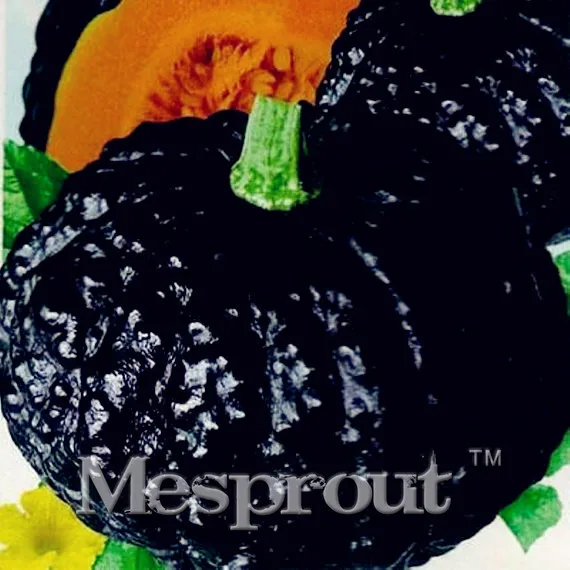 редька на белом фоне. полезна для организма черная редька. редька черная фото. гранат дхолка чёрный. черный редка.