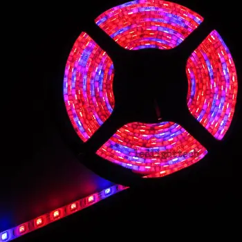 

50M 10pcs 5M 5050 SMD 60leds/m 300 RED BLUE 5:1 Hydroponic Plant Growth Aquarium LED Strip Light