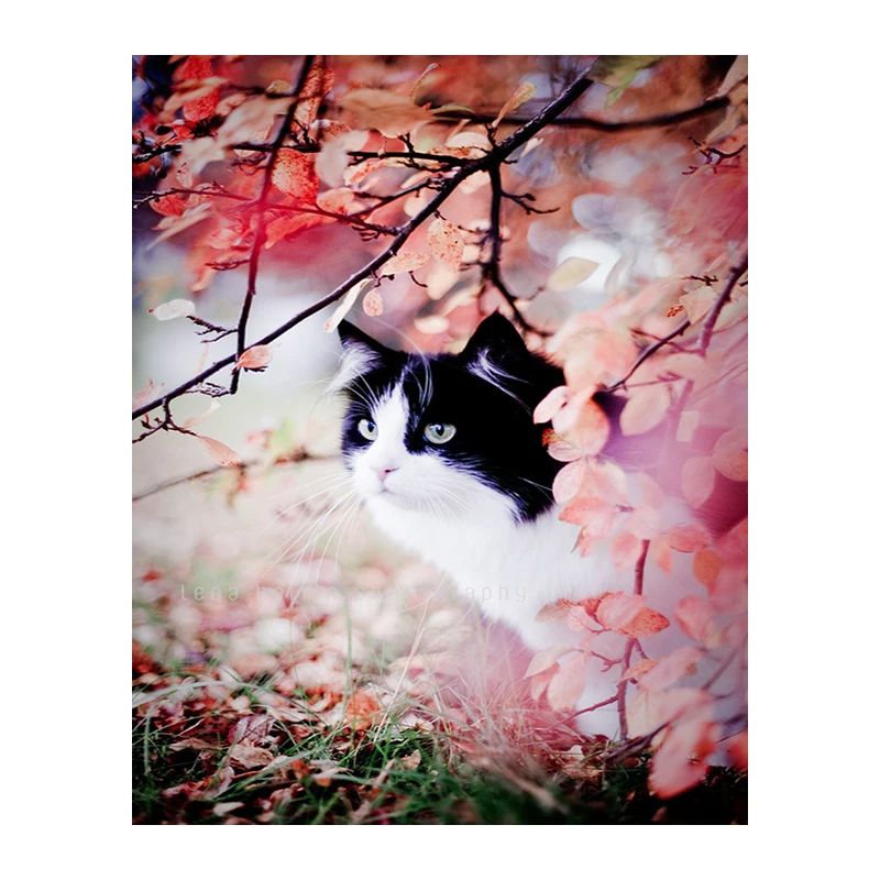 Diamond Embroidery 5D DIY Diamond Painting Cat and Peach Flower Diamond Painting Cross Stitch Rhinestone Decoration 
