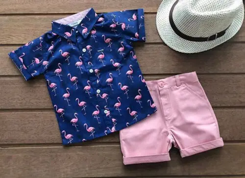 Комплект из 2 предметов, топы с фламинго для маленьких мальчиков, футболка+ шорты, штаны, одежда