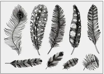 

feather clear Stamp Transparent seal for DIY scrapbooking/Card Making c517