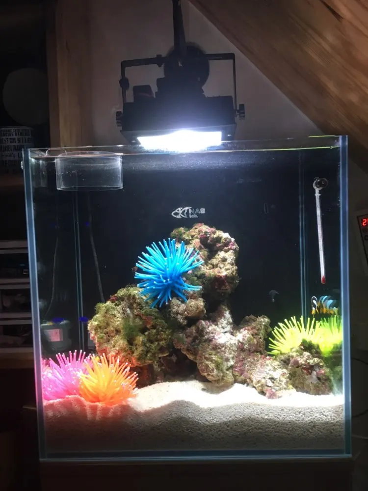 Имитация морского ежа силиконовый Аквариум Искусственный Коралл растение подводный орнамент Декор