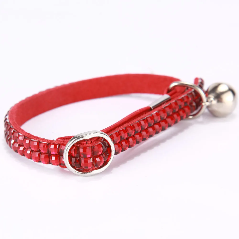 dog collar 6