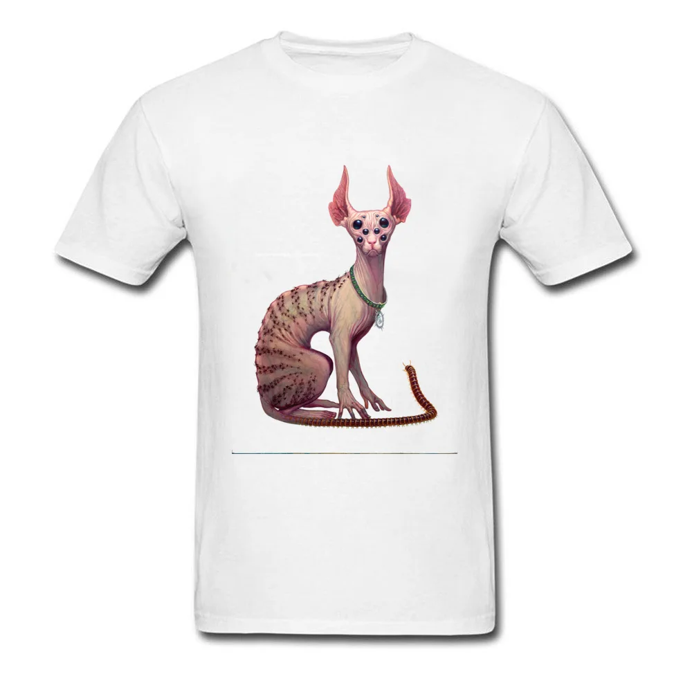 Wrong_Cat_white