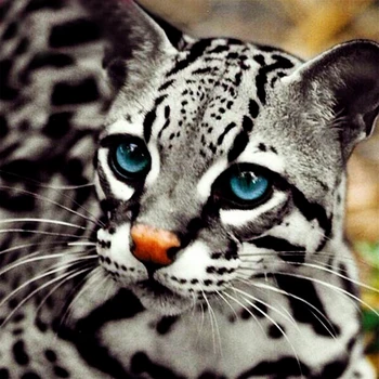 

5D Diy Diamond Painting Kits Animals Diamond Embroidery lynx Picture Of Rhinestone Full Round Diamond Drill Mosaic Pattern