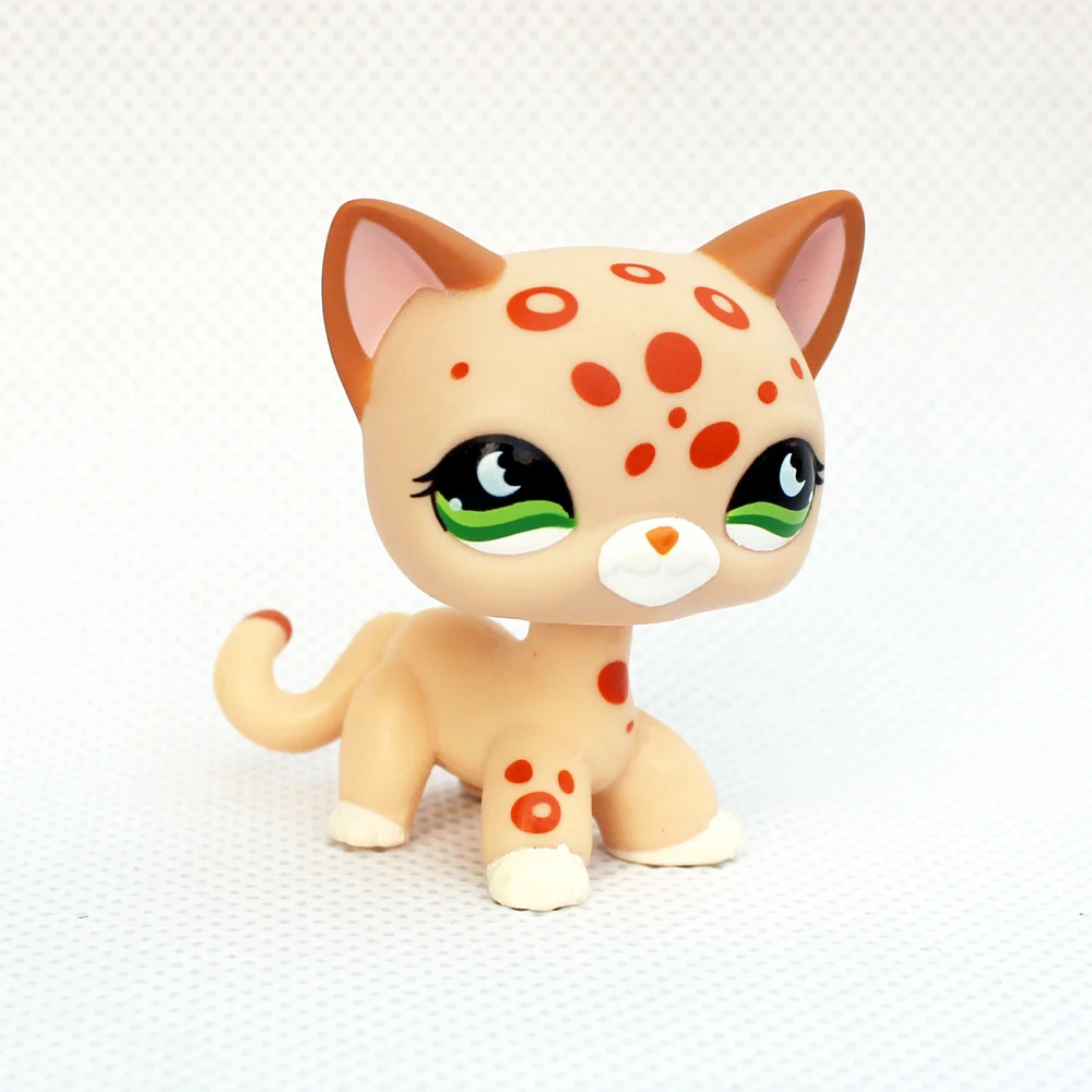rare Animal font b pet b font shop lps toys cute littlest short hair cat 852