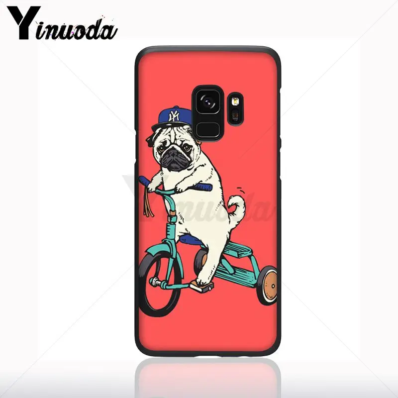 life is liking a ride bicycle bike dog