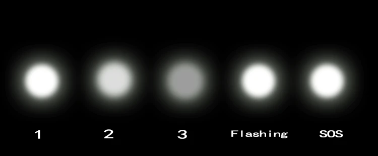 3939039795_1386516678[1]