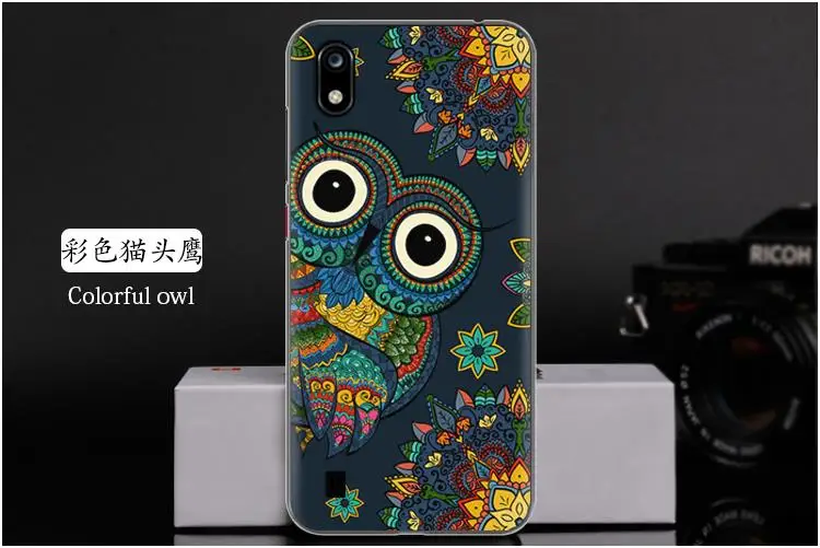 彩色猫头鹰 Colorful owl
