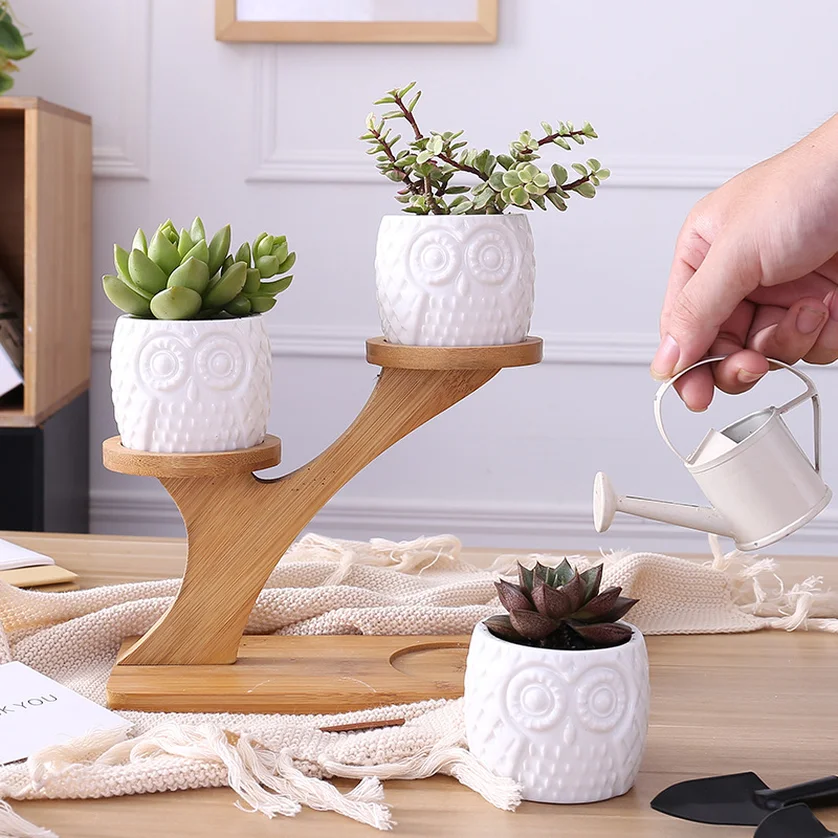 

New Simple White Succulent Plant Flower Pot Holder Ceramic Owl Pattern Pot Treetop Shaped Bamboo Shelf Pot Planter Set 2019