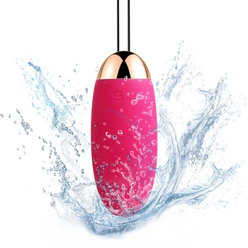 SVAKOM Elva Kegel Balls Sex Toys For Women Wireless Remote Control Geisha love Ball Vibrator Erotic Adult Products Egg Massager