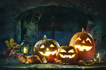 

Halloween background photography scared pumpkins evil halloween backpack background for photo studio accessories a photo shoot