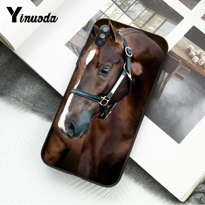 Horse Animal Printed