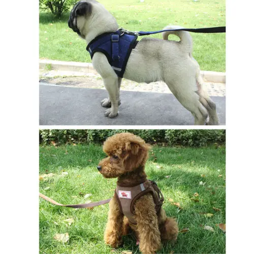 Solid Brief Leash Small Pet Control Harness Dog Cat Soft Mesh Walk Collar Safety Strap Vest | Дом и сад