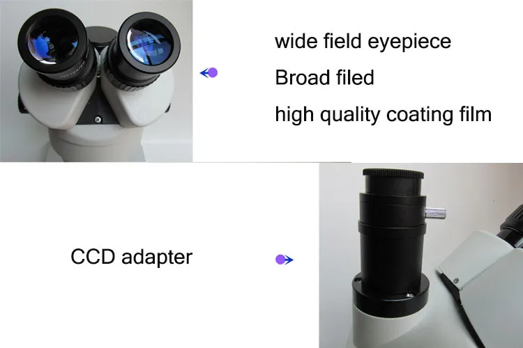 HTB1KVLILVXXXXXFXXXXq6xXFXXXh.jpg?size=70982&height=500&width=750&hash=181c8c033f1dc553f553432c2149c66b