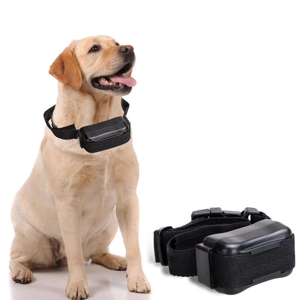 Buy Pet Dog Bark Stop Collar Automatic Anti Pet Dog