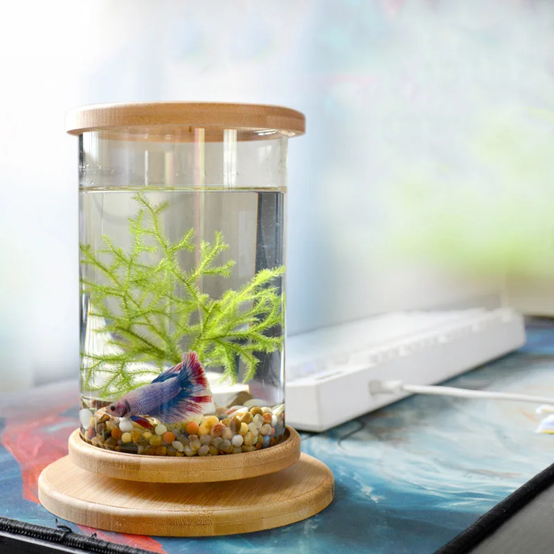 Стеклянная аквариумная бамбуковая основа Betta 1 шт. Миниатюрные аксессуары для