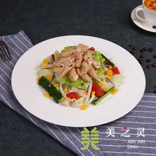 Simulated Food Model Simulated Tuna Vegetable Salad Model Handicraft Artificial Props Table Ornaments Display Simulation Food