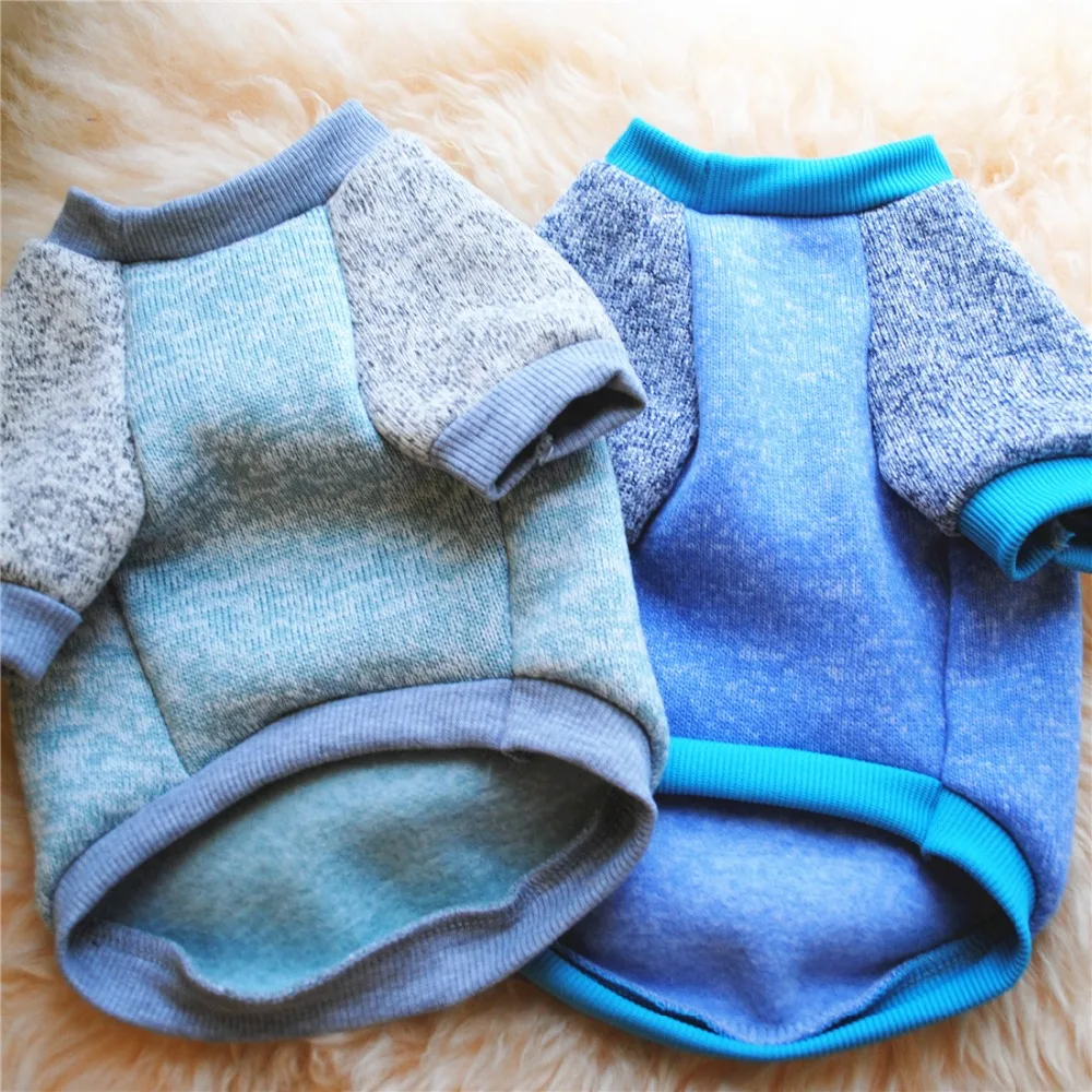 10413830173_361259826