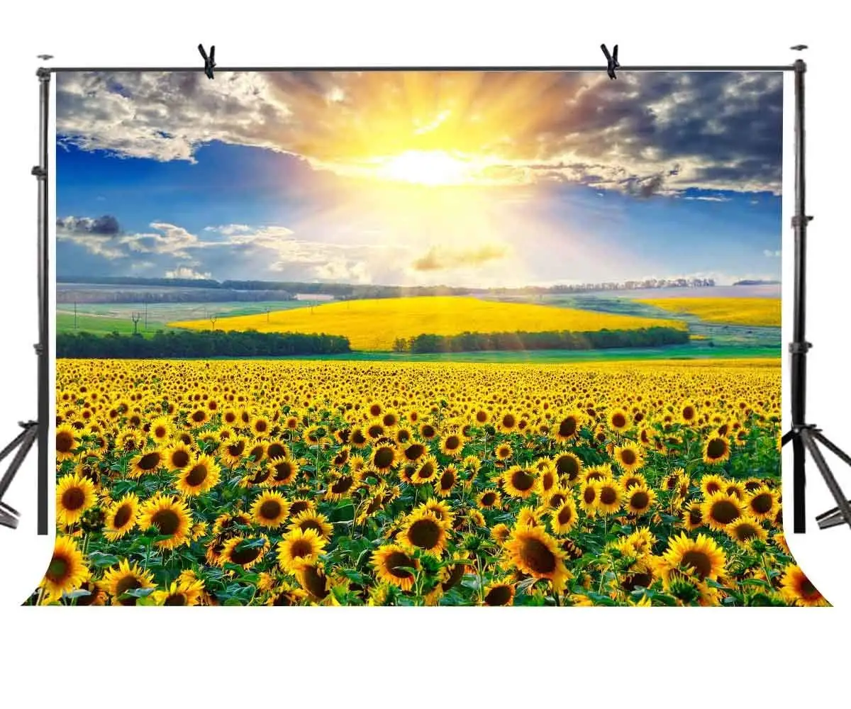 

7x5ft Sunflower Farm Backdrop Sunny Beautiful Sunflower Farm Photography Background and Studio Photography Backdrop Props