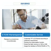 Optoelectronic Displays