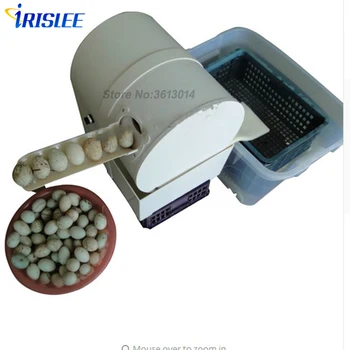 

Hot sale Good quality Automatic egg washing cleaning machine