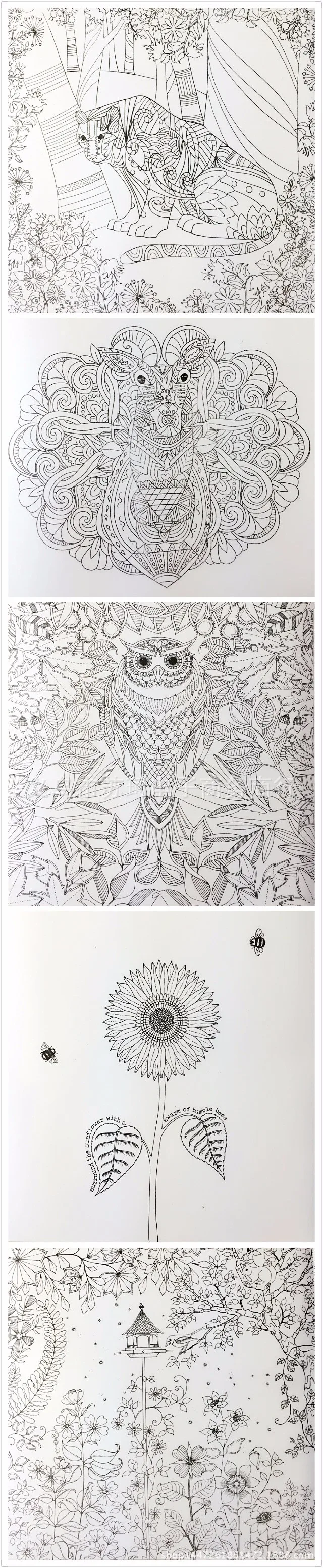 The Secret Taman Mystery Taman Album Bahasa Inggris Coretan