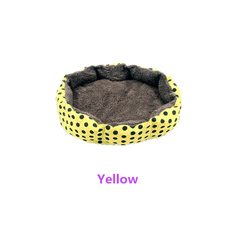 PE004Y