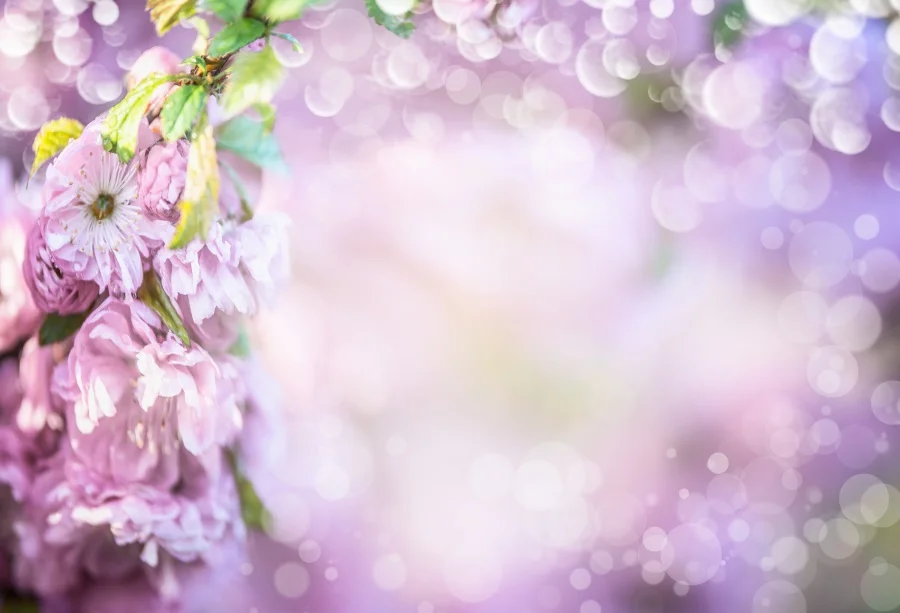 

Laeacco Spring Flower Backdrop For Photography Polka Dots Light Bokeh Baby Newborn Scene Photo Background Photocall Photo Studio