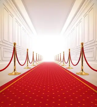 

Ray Red Carpet Curtain Hollywood Celebrity Celebration backdrops Vinyl cloth Computer printed wall Backgrounds for sale