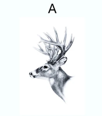 3_