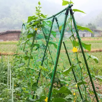 

Garden Vegetable Plant Green Nylon Net Flowers Melon Climbing Grow Fence Bean Plant Climbing Grow Fence Anti-bird Net
