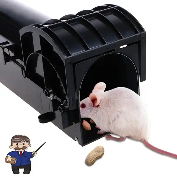 Simple//double porte Rat Cage Souris Répulsif Camping Rat Piège Attraper Appât Hamster