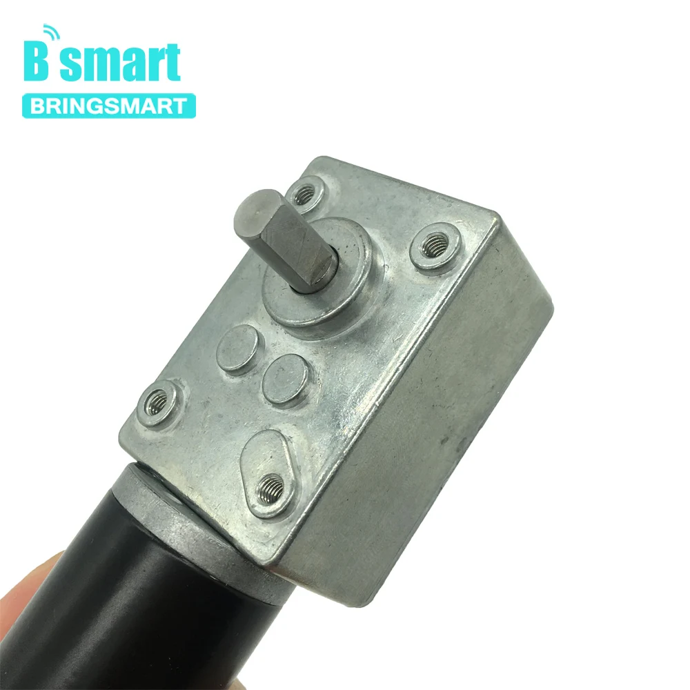 

Bringsmart A58SW31ZYS Double Shaft Mini Motor Worm Gear Motor 12V DC 24V HighTorque Reducer Reversible for Advertising Board DIY