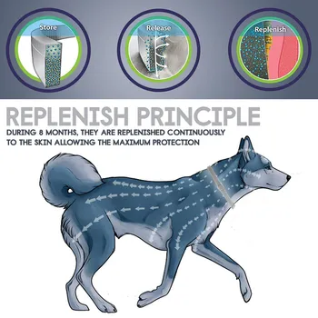 

Removes Flea And Tick Collar Dogs Cats Up To 8 Month Flea Tick Collar Insect Repellent Collar Pet Collars