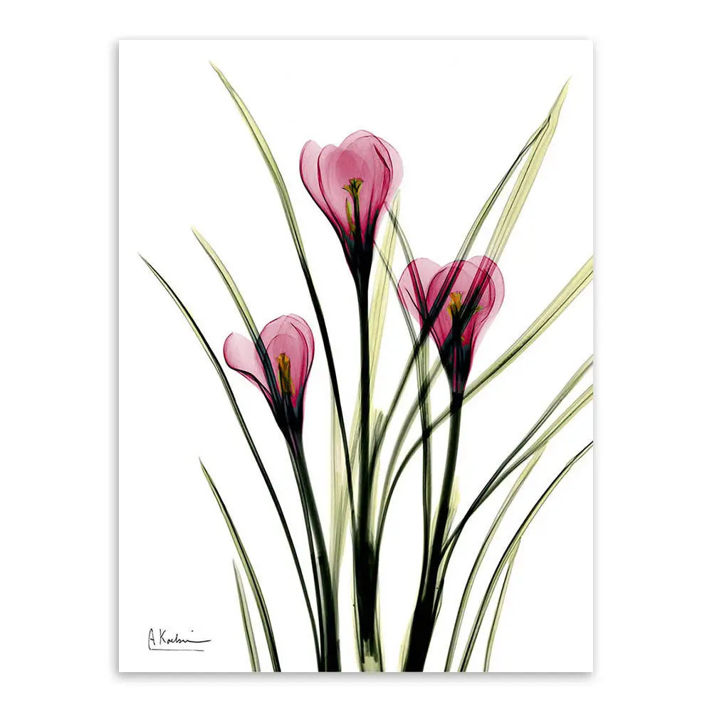 Minimalist X Ray Flower Poster Modern Nordic Home Decor Wall Art Canvas Painting Home Decor Posters Prints Home Garden