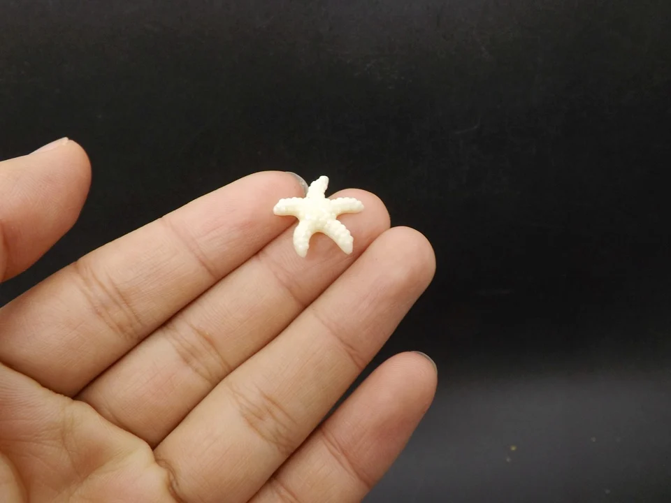 Tiny-A115Starfish (3)