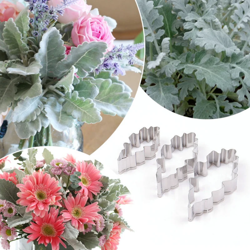 

Silver Leaf Chrysanthemum Leaf 3Pcs Stainless Stell Cookie Cutter Pastry & Biscuit Baking Cutter Cake Decorating Tools
