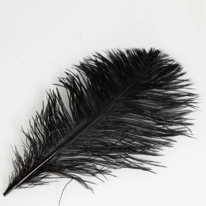 10pcs-1358-Ostrich-Feather-Black_5_800x800