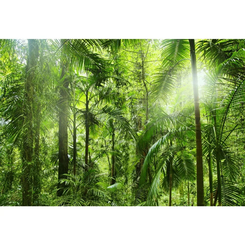 

Laeacco Tropical Rain Forest Jungle Green Shrub Palm Tree Natural Scenic Photography Backdrops Photo Background For Photo Studio