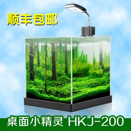 The SF new small mini desktop aquarium goldfish bowl