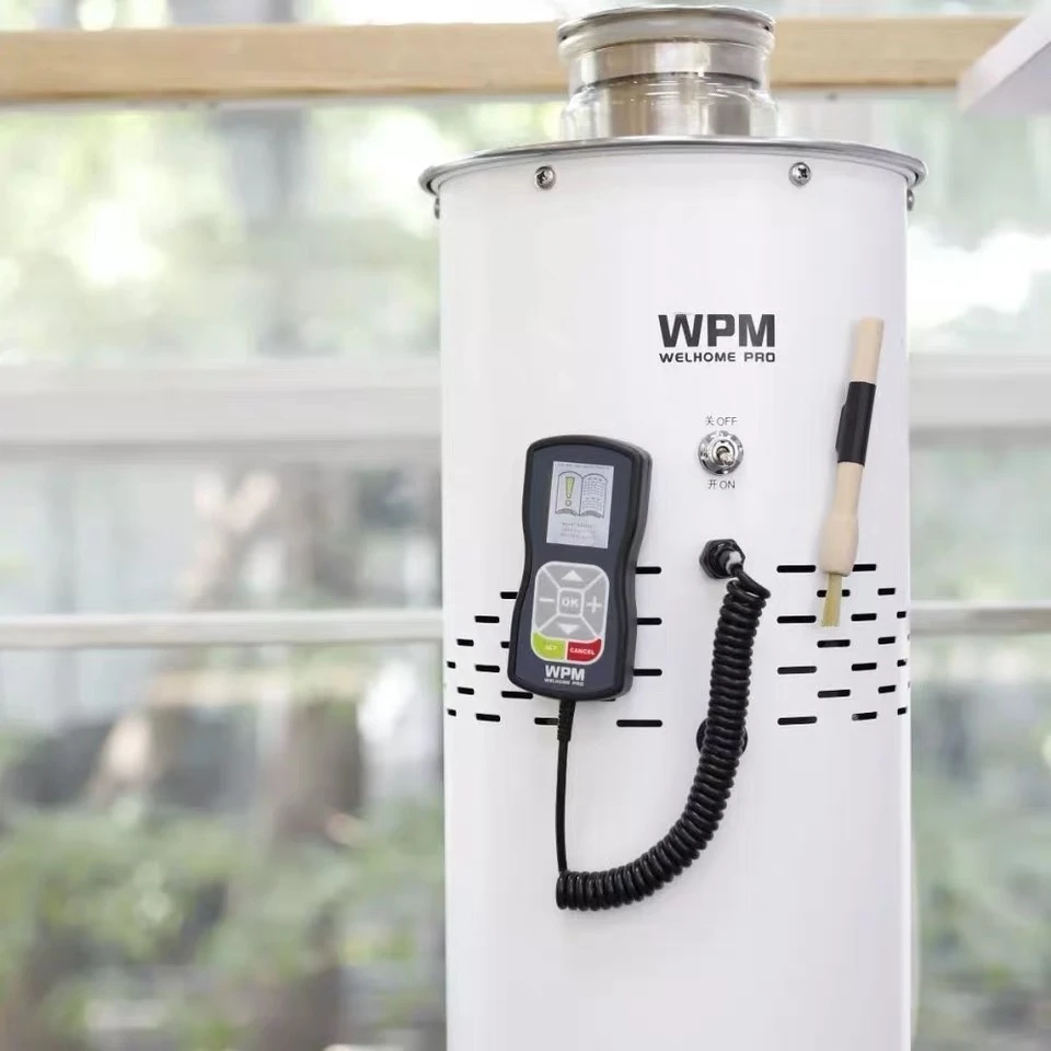 Welhome/WPM DR-100 автоматическая машина для обжаривания зерен горячего воздуха машина для выпечки Жареная Машина для фасоли потребитель и коммерческий