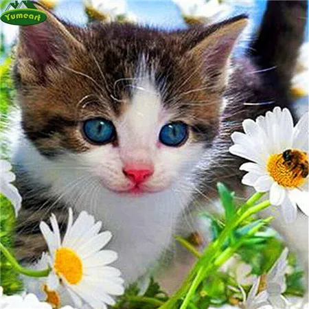 YUMEART животное цветок кошка Сделай Сам кристальная квадратная 5D алмазная Картина Набор для вышивки крестом мозаика котенок картина Стразы художественные изделия - Цвет: 5905218